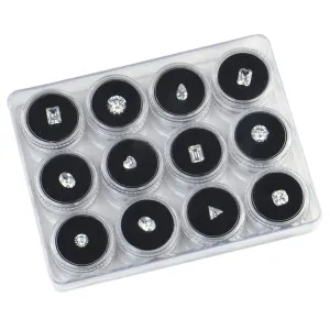 12Pcs Small Loose Diamond Gemstone Display Box Empty Round Jewelry Show Box Clear Top Lids Sponge Filled Box Case Container Holder with Plastic Storage Box, Black